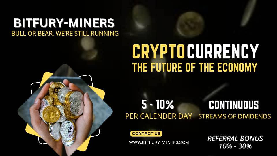 Bitfury-Miners 